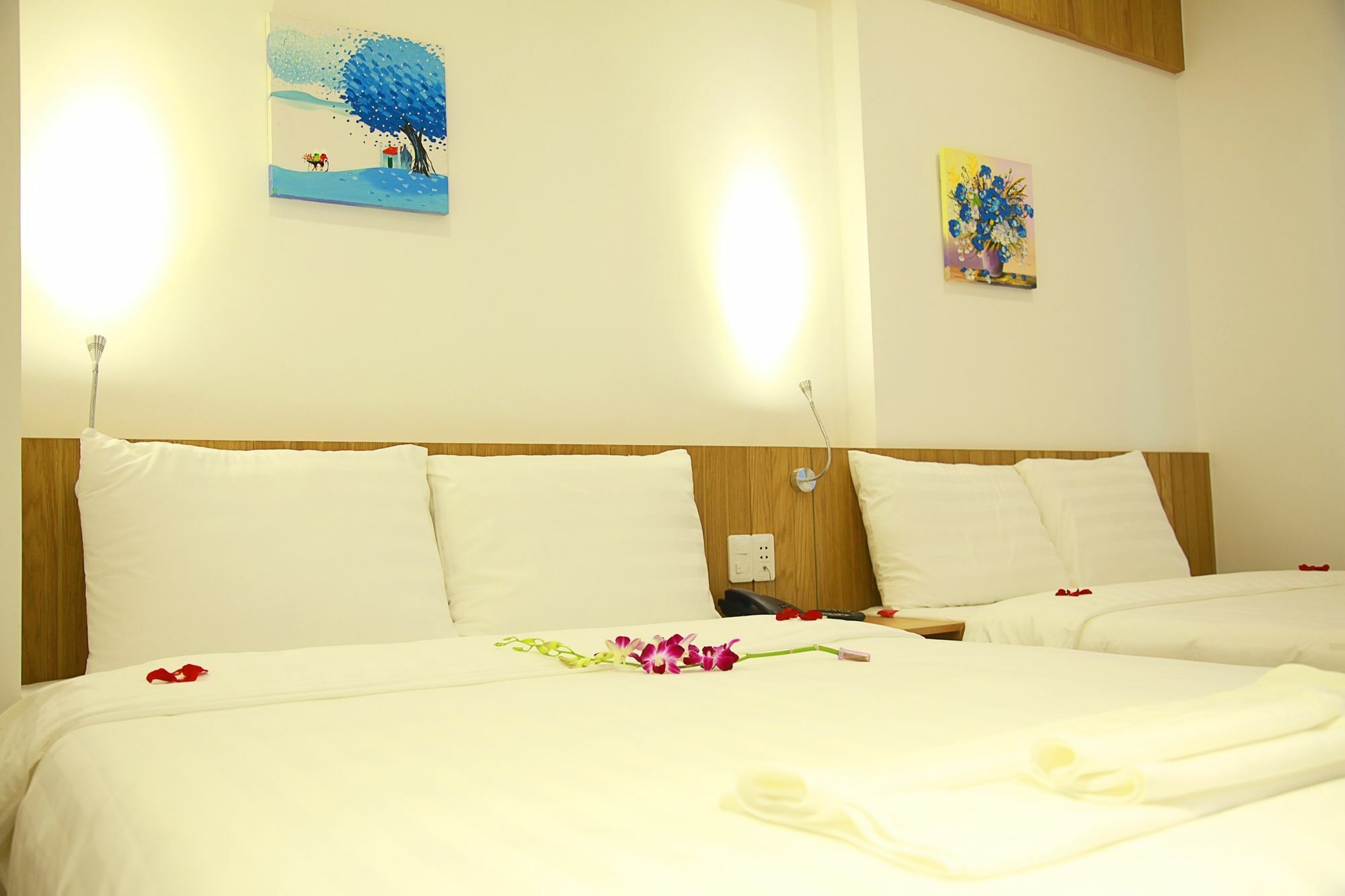 Meraki Hotel Da Nang Exterior foto